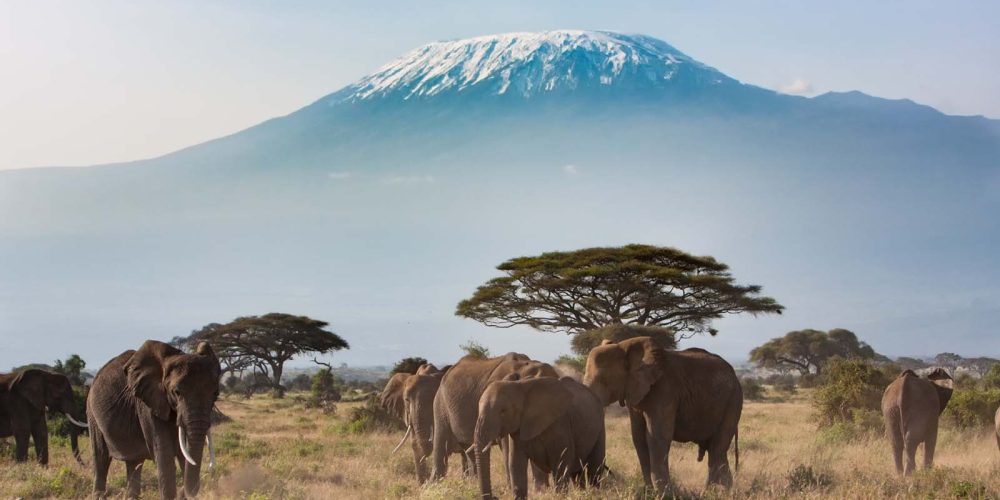 Attractions-in-Amboseli-National-Park-Kenya