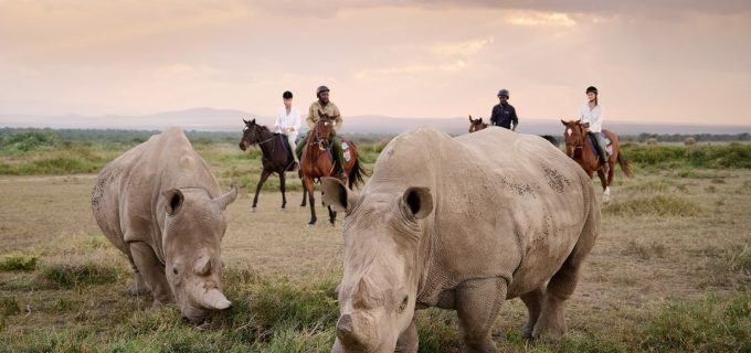 Ol-Pejeta-Horse-Riding-Safari