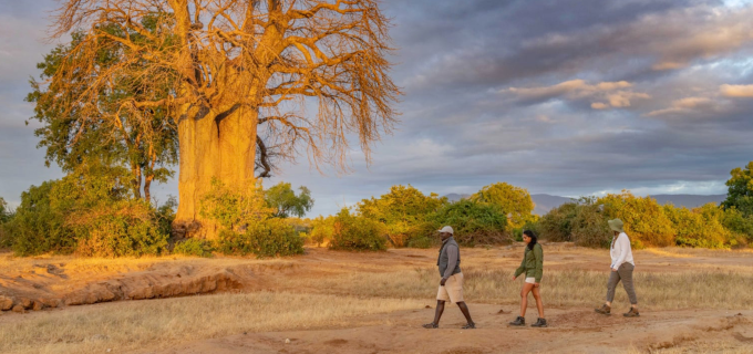Walking-Safari-bush-walk
