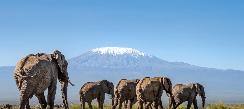 Mount Kilimanjaro Amboseli