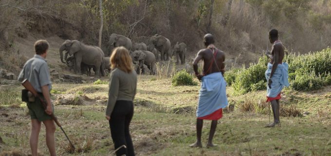best-walking-safari-kenya