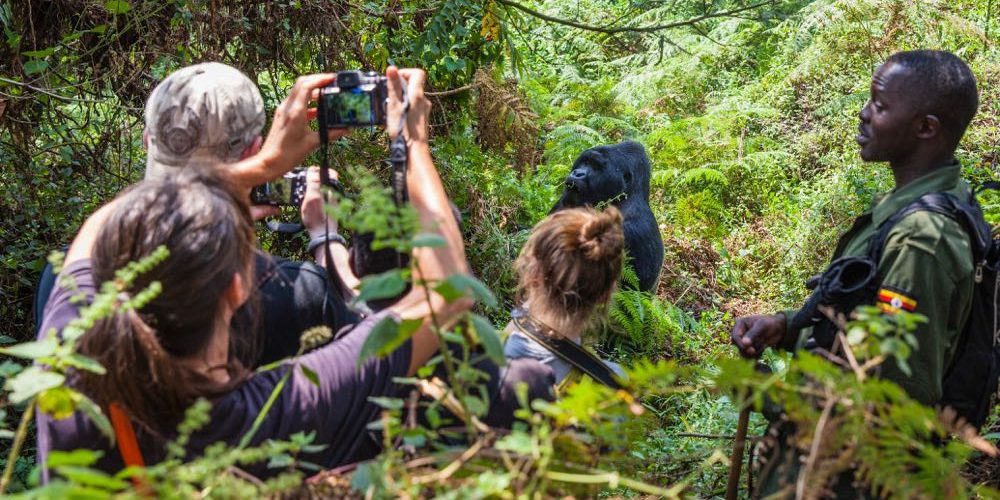 bwindi-gorilla-trekking-uganda