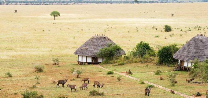 ideal-uganda-safari