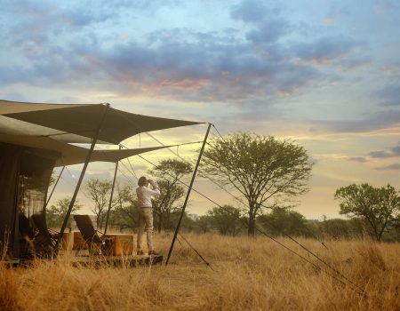 luxury-mobile-safari