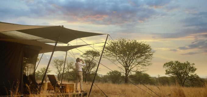 luxury-mobile-safari