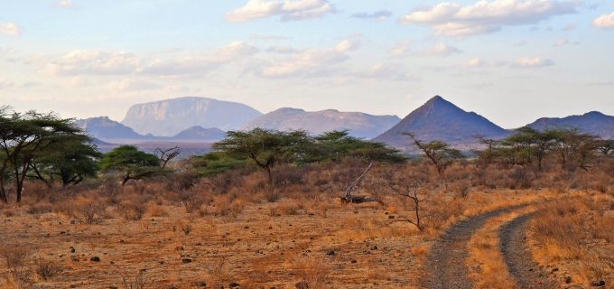 samburu-landscape